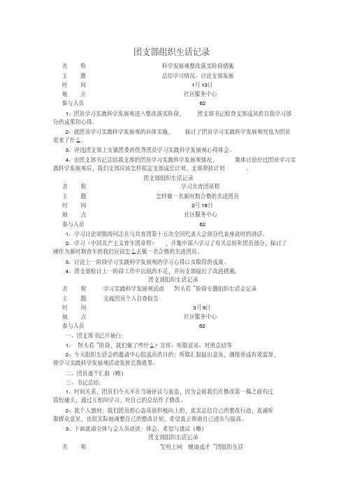 最新团支部组织生活记录.pdf