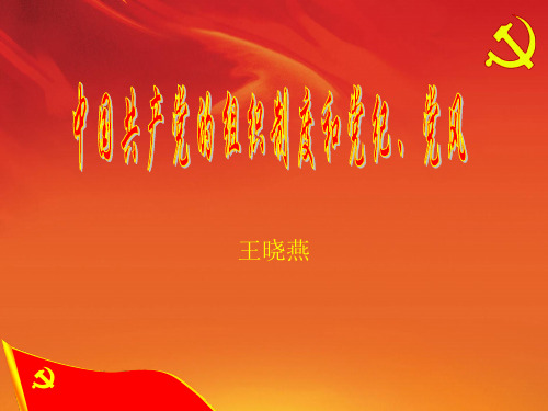 党的组织原则,党的纪律与作风
