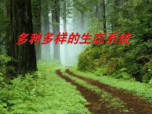 2.1多姿多样的生态系统