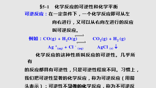 内蒙古民族大学无机化学吉大武大 化学平衡PPT课件