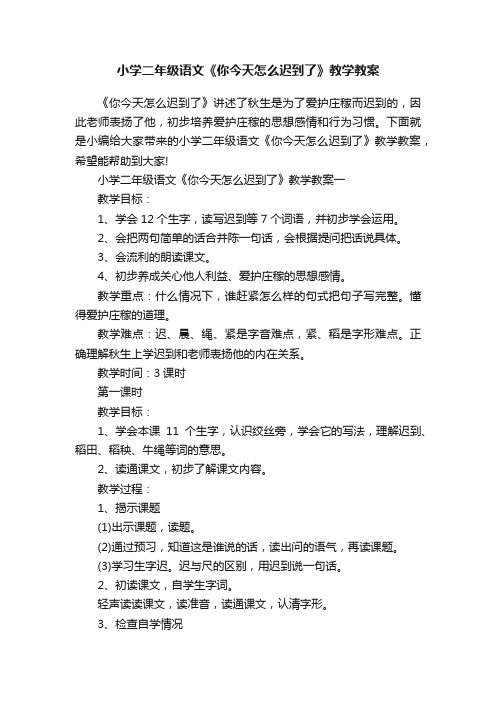 小学二年级语文《你今天怎么迟到了》教学教案