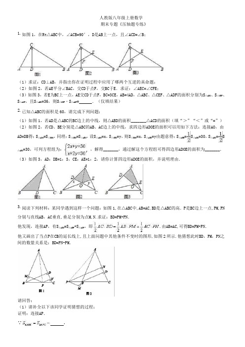 人教版八年级上册数学   期末专题《压轴题专练》(含答案)