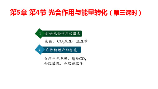 光合作用与能量转化第3课时课件高一上学期生物人教版必修1