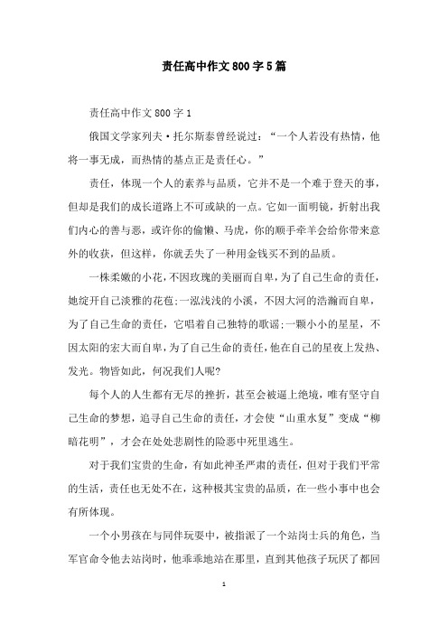责任高中作文800字5篇