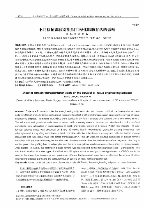 不同移植部位对组织工程化脂肪存活的影响