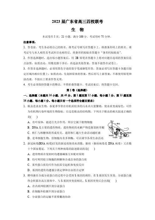 广东省四校 (深圳中学,华师附中,省实验,广雅)23届高三上学期第一次联考生物含答案