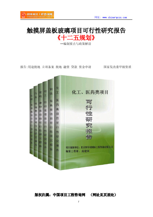 触摸屏盖板玻璃项目可行性研究报告-项目立项审批