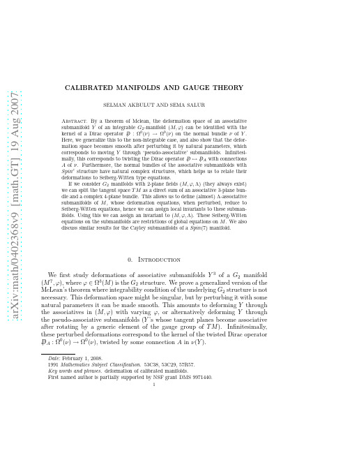 Calibrated Manifolds and Gauge Theory