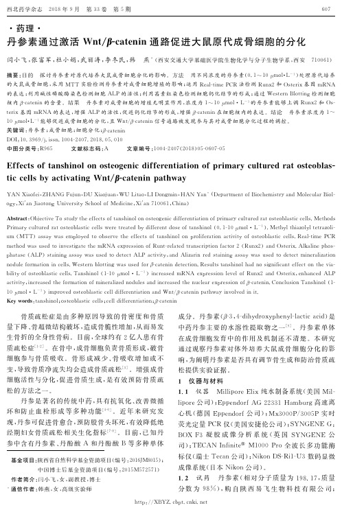 丹参素通过激活Wnt／β-catenin通路促进大鼠原代成骨细胞的分化