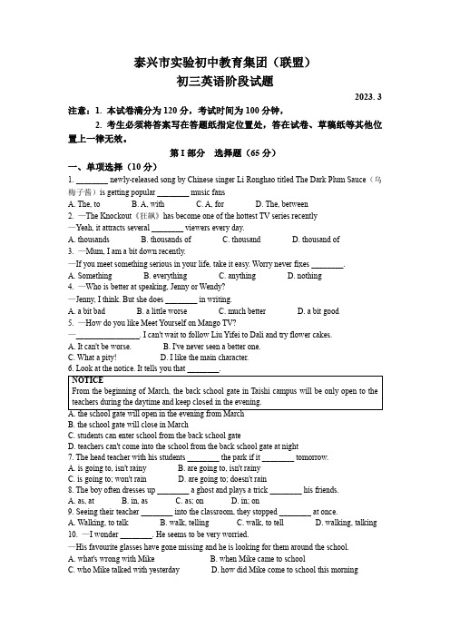 江苏省泰州市泰兴实验初中教育集团2022-2023学年九年级下学期3月阶段考试英语试题 