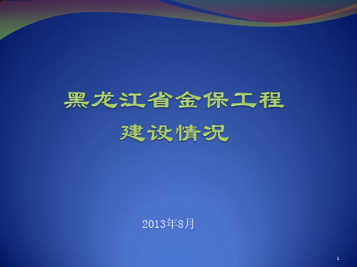 10黑龙江省金保工程建设情况(徐树)