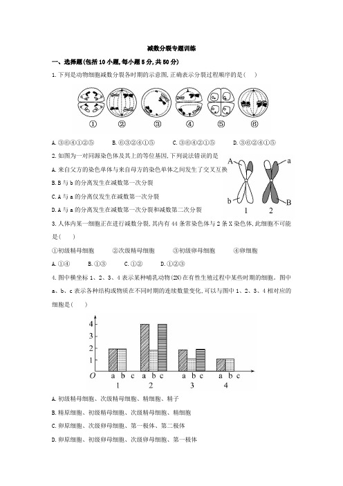 减数分裂专题训练