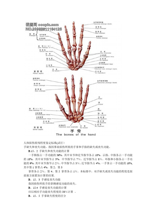 手部功能评分