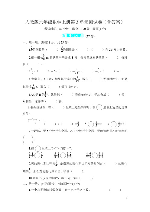 人教版六年级数学上册第3单元测试卷(含答案)