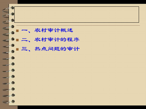 农村集体经济审计简介54页PPT