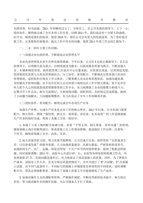 公司年度总结报告格式