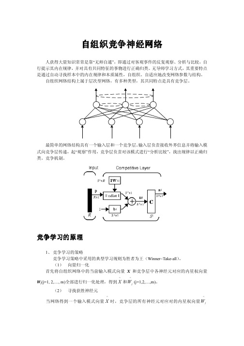 自组织竞争神经网络