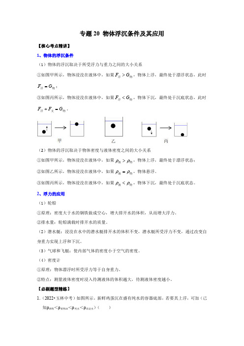 物体浮沉条件及其应用(解析版)-2023年中考物理二轮复习核心考点精讲与必刷题型精练(全国通用)