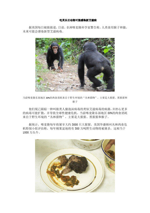 吃灵长目动物可能感染新艾滋病