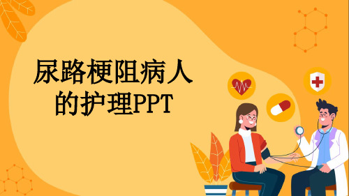 尿路梗阻病人的护理PPT