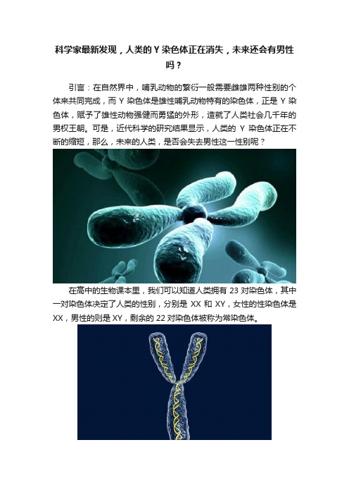 科学家最新发现，人类的Y染色体正在消失，未来还会有男性吗？