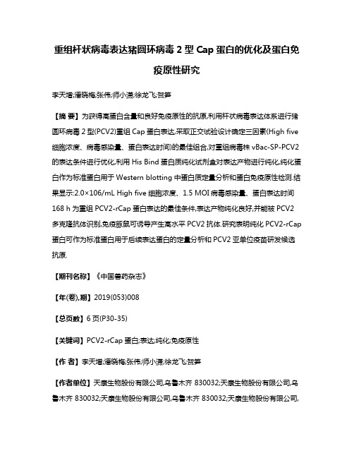 重组杆状病毒表达猪圆环病毒2型Cap蛋白的优化及蛋白免疫原性研究