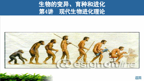 第现代生物进化理论ppt完美课件2021届高考生物一轮复习