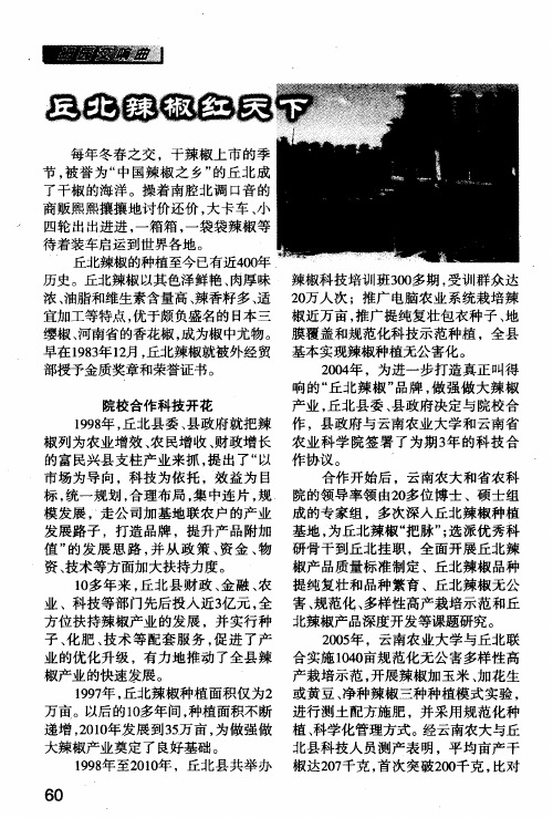 丘北辣椒红天下