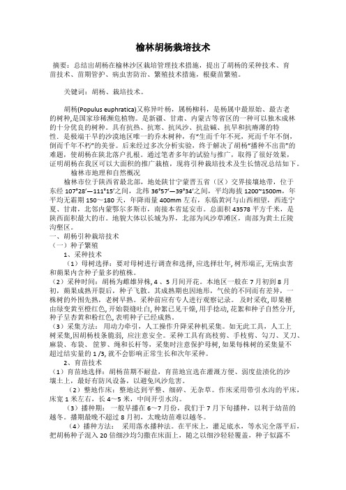 榆林胡杨栽培技术