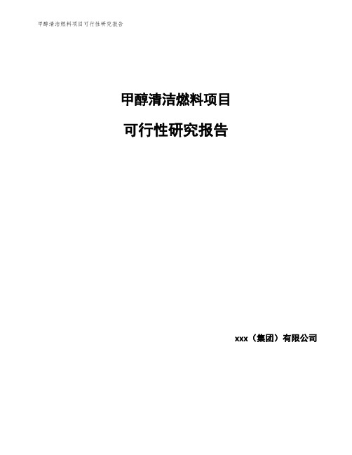 甲醇清洁燃料项目可行性研究报告