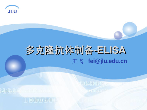 大学精品课件：多克隆抗体-ELISA