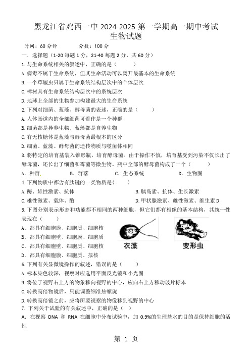 黑龙江省鸡西一中2024-2025第一学期高一期中考试生物试题含答案