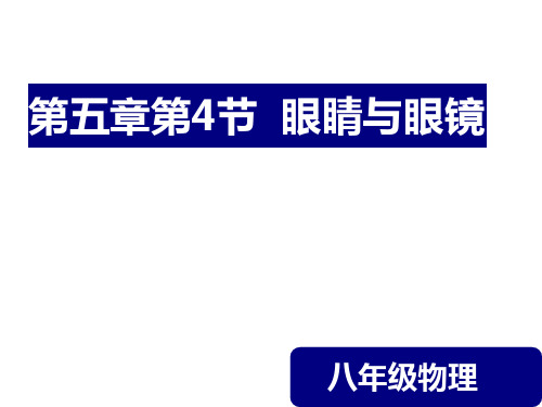 物理八年级上册5.4眼睛和眼镜