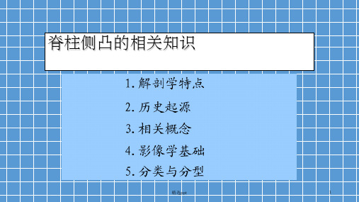 脊柱侧凸的相关知识ppt课件