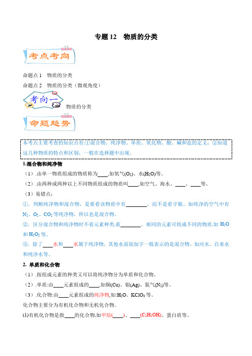 专题12  物质的分类(考点详解)-备战2021年中考化学考点微专题(广东专版)(原卷版)