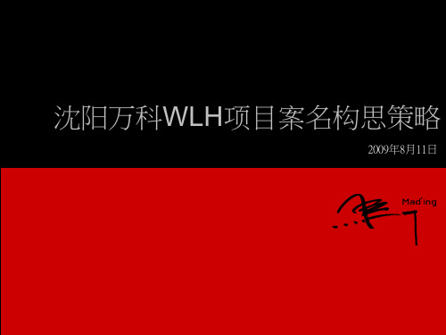 沈阳万科WLH项目案名构思策略案分析