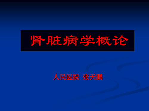 肾脏病学概论