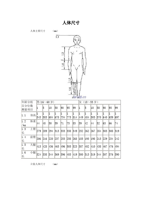 人体尺寸详解