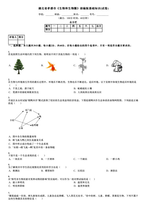 湖北省孝感市《生物和生物圈》部编版基础知识(试卷)