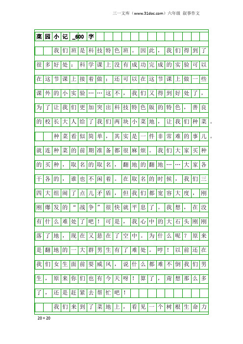 六年级叙事作文:菜园小记_600字