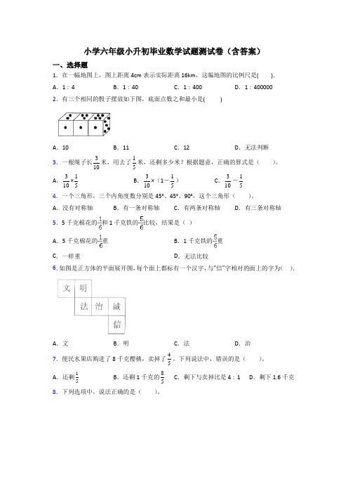 小学六年级小升初毕业数学试题测试卷(含答案)