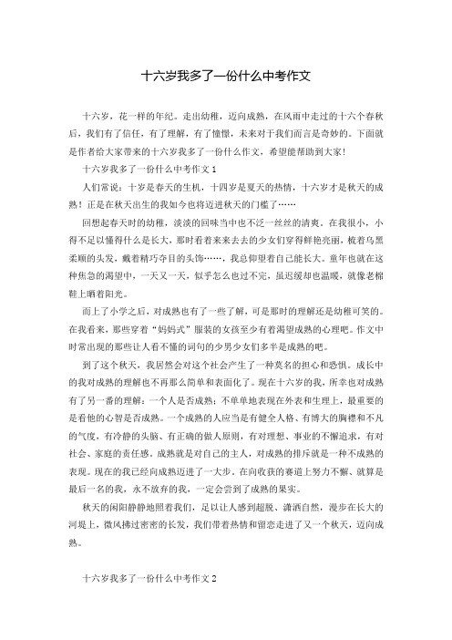 十六岁我多了一份什么中考作文