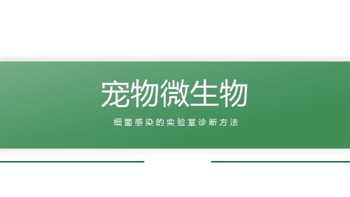 【宠物微生物课件】细菌感染的实验室诊断方法