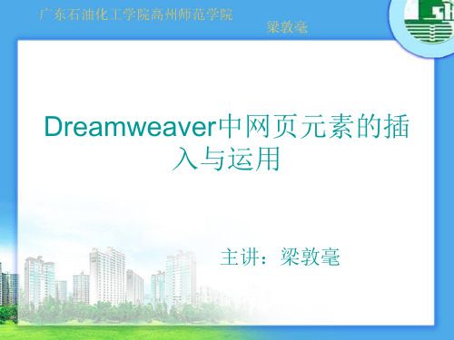 第4讲 Dreamweaver中网页元素的插入与运用