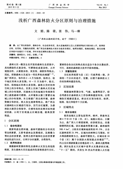 浅析广西森林防火分区原则与治理措施