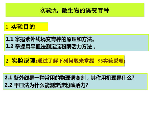 实验九 微生物的诱变