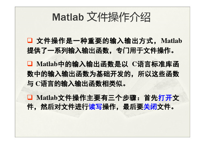 Matlab基础教程——文件的读写