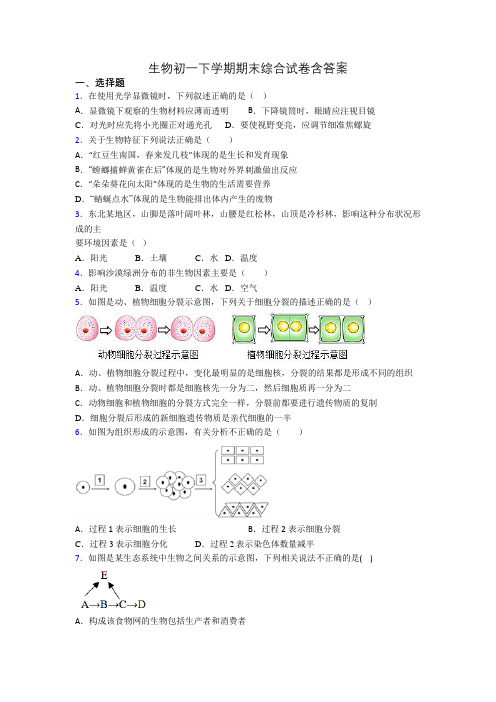 生物初一下学期期末综合试卷含答案