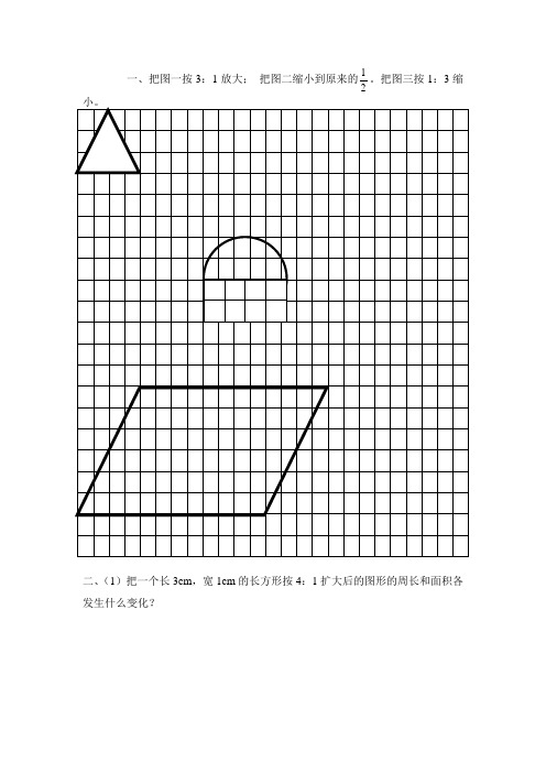 北师大版数学六下2.4《图形的放大与缩小》练习