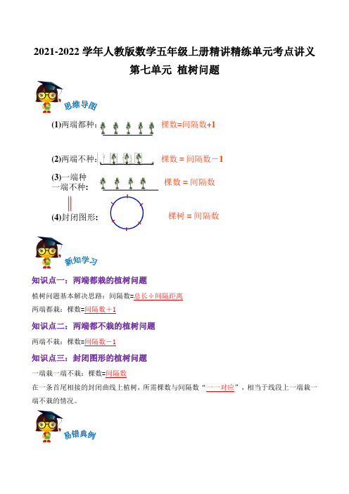 第七单元《植树问题》(解析)—数学五年级上册精讲精练单元考点讲义(人教版)